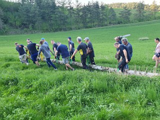 Maibaum-holen-2025_37