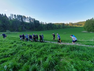Maibaum-holen-2025_38