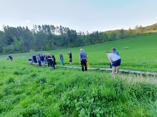 Maibaum-holen-2025_39