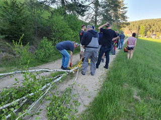 Maibaum-holen-2025_42