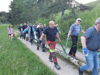 Maibaum-holen-2025_46