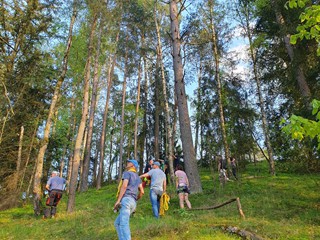 Maibaum-holen-2025_5