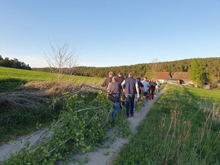 Maibaum-holen-2025_52