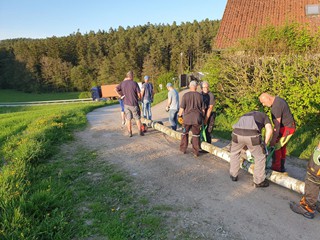 Maibaum-holen-2025_53