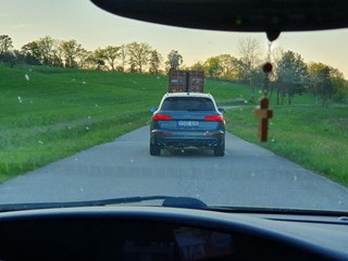 Maibaum-holen-2025_67