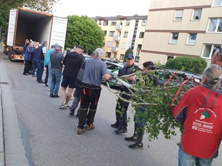 Maibaum-holen-2025_70