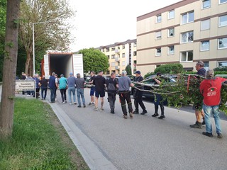 Maibaum-holen-2025_71