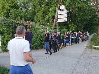 Maibaum-holen-2025_73