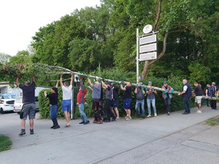 Maibaum-holen-2025_74