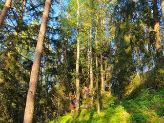 Maibaum-holen-2025_8