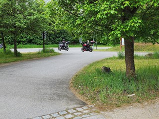 Trier-2026_3
