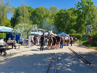 Maibaum-aufstellen-2026_11