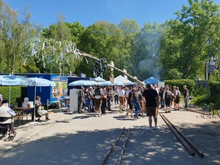 Maibaum-aufstellen-2026_13