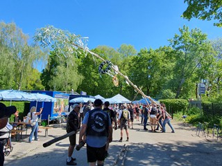 Maibaum-aufstellen-2026_15