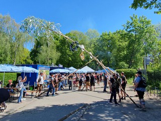 Maibaum-aufstellen-2026_16