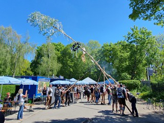 Maibaum-aufstellen-2026_17