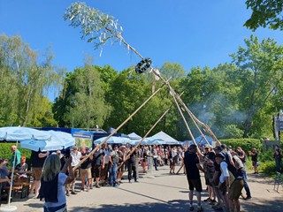 Maibaum-aufstellen-2026_18