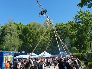 Maibaum-aufstellen-2026_19