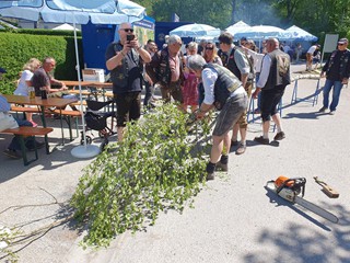 Maibaum-aufstellen-2026_2