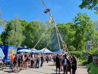 Maibaum-aufstellen-2026_20