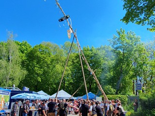 Maibaum-aufstellen-2026_21
