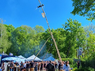 Maibaum-aufstellen-2026_22