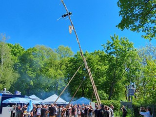 Maibaum-aufstellen-2026_23