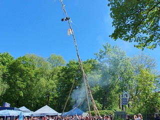 Maibaum-aufstellen-2026_24