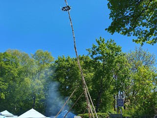 Maibaum-aufstellen-2026_25