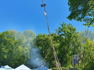Maibaum-aufstellen-2026_26