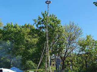 Maibaum-aufstellen-2026_29