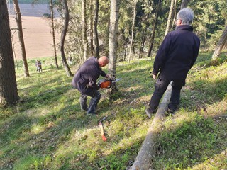Maibaum-holen-2026_11