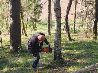 Maibaum-holen-2026_14