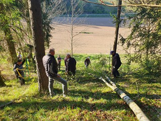 Maibaum-holen-2026_19
