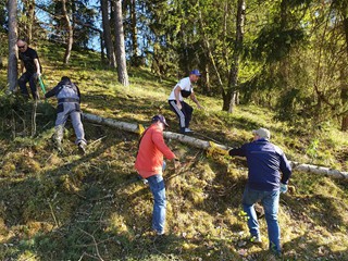 Maibaum-holen-2026_24