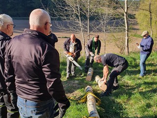 Maibaum-holen-2026_29