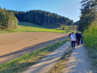 Maibaum-holen-2026_3
