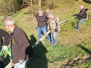 Maibaum-holen-2026_30