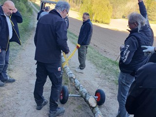 Maibaum-holen-2026_39