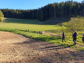 Maibaum-holen-2026_4