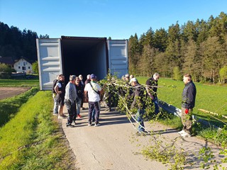 Maibaum-holen-2026_58