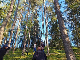 Maibaum-holen-2026_7