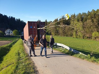 Maibaum-holen-2026_70