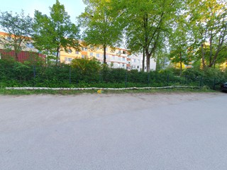 Maibaum-holen-2026_71
