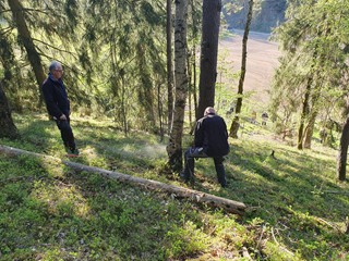 Maibaum-holen-2026_9